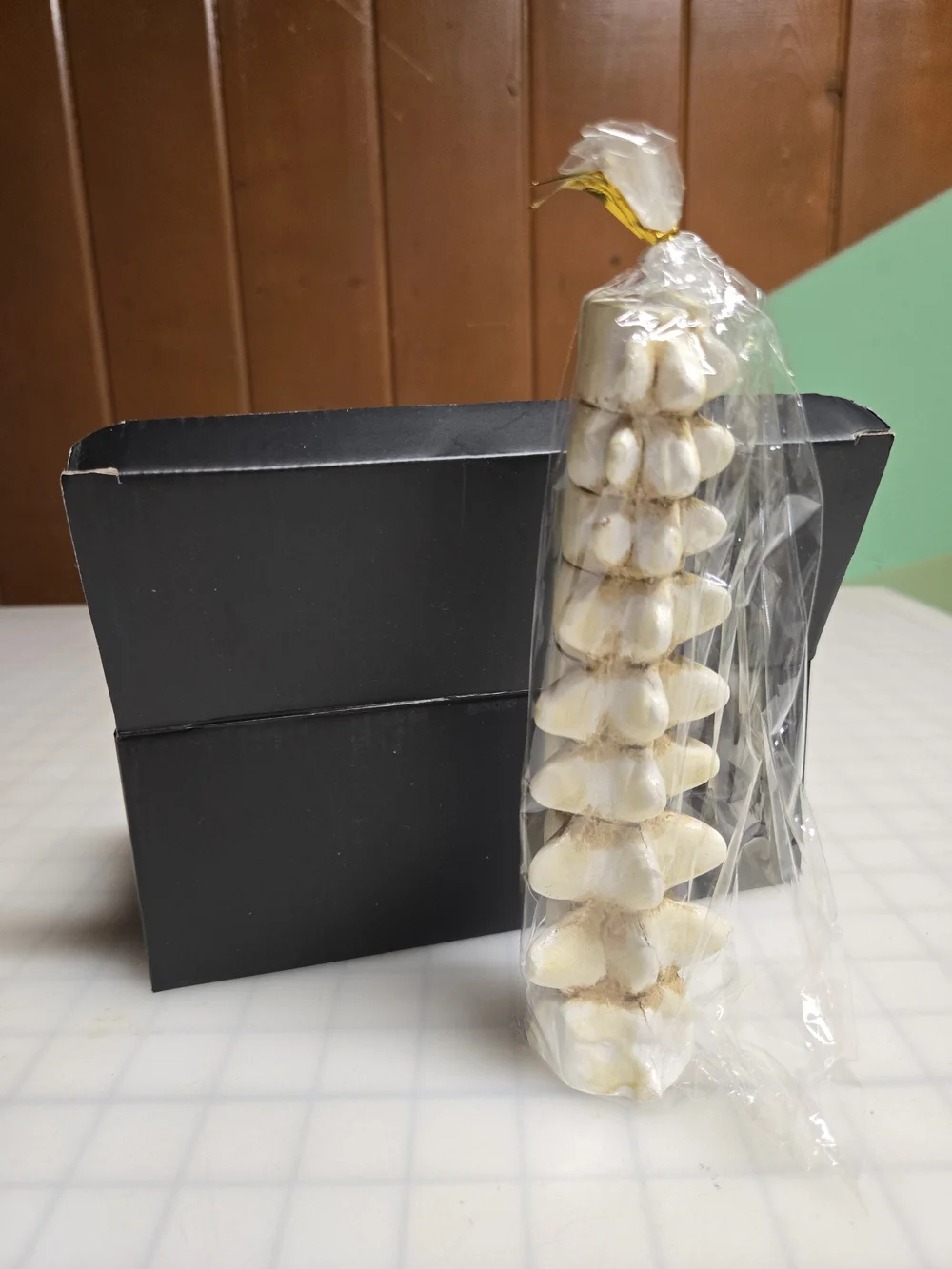 Spine Column Candle